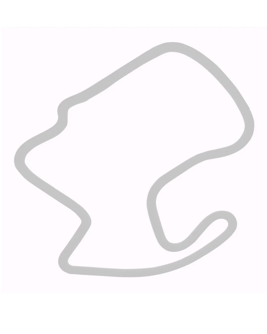 DECAL-TRACK OUTLINE - Image 4